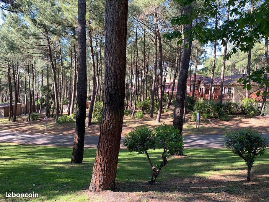 Apt T2 Calme Sur Golf, Piscine, Ocean 10 Min En Velo Lacanau Kültér fotó