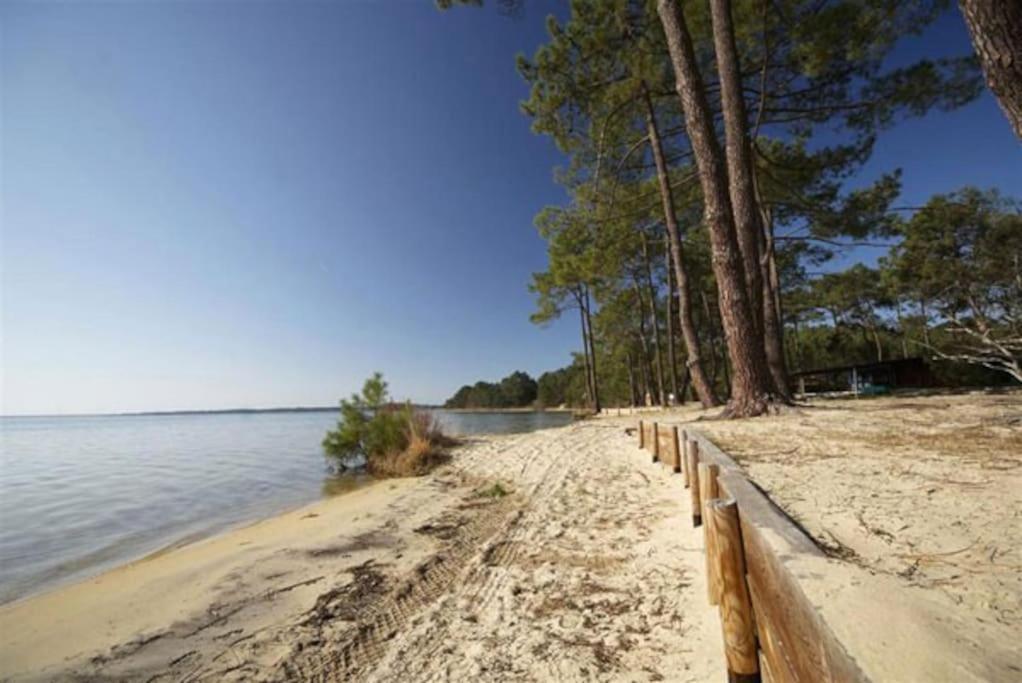 Apt T2 Calme Sur Golf, Piscine, Ocean 10 Min En Velo Lacanau Kültér fotó